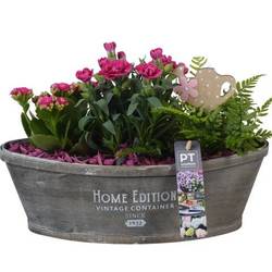 Garten.Arr PTPP2593 T32 H023