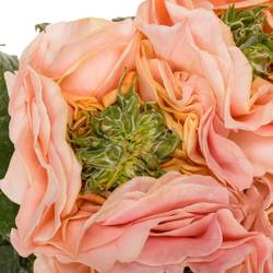 Rose rosa Magic Affairs 40cm