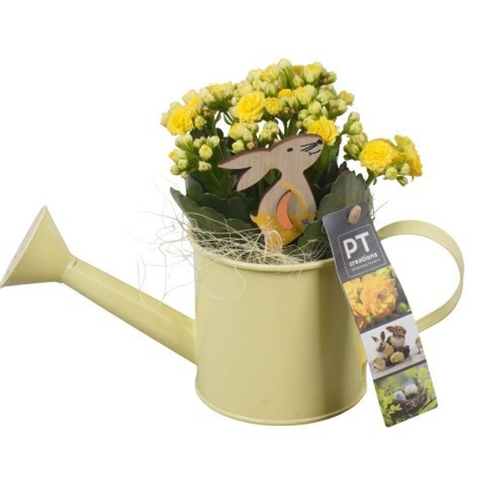 Kal.Arr PTPB6427 Ostern T09 H019