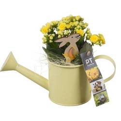 Kal.Arr PTPB6427 Ostern T09 H019