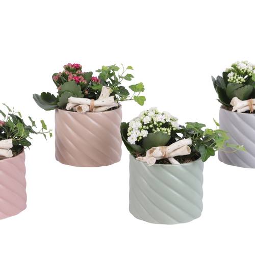 Kal.Arr mix YR614K0661 T14 H020