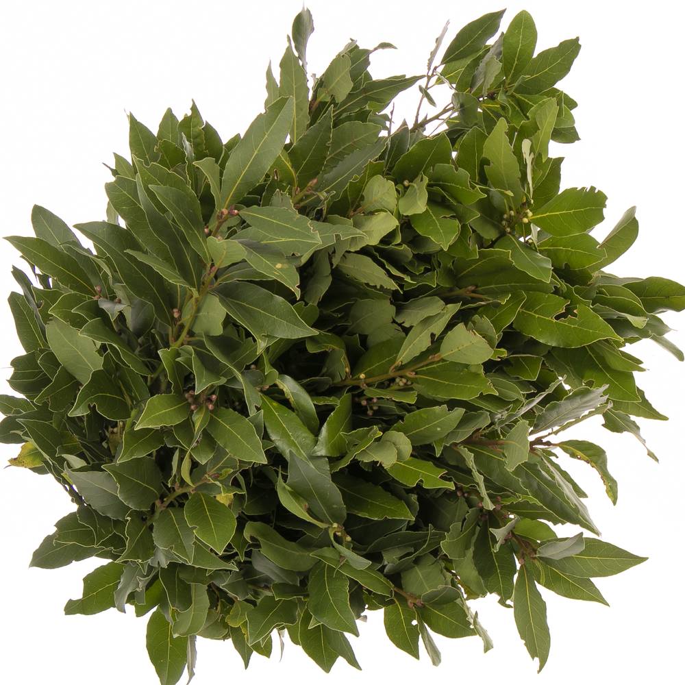 Lorbeer Kraut Laurus Nobilis 250gram