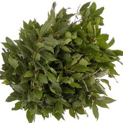 Lorbeer Kraut Laurus Nobilis 250gram