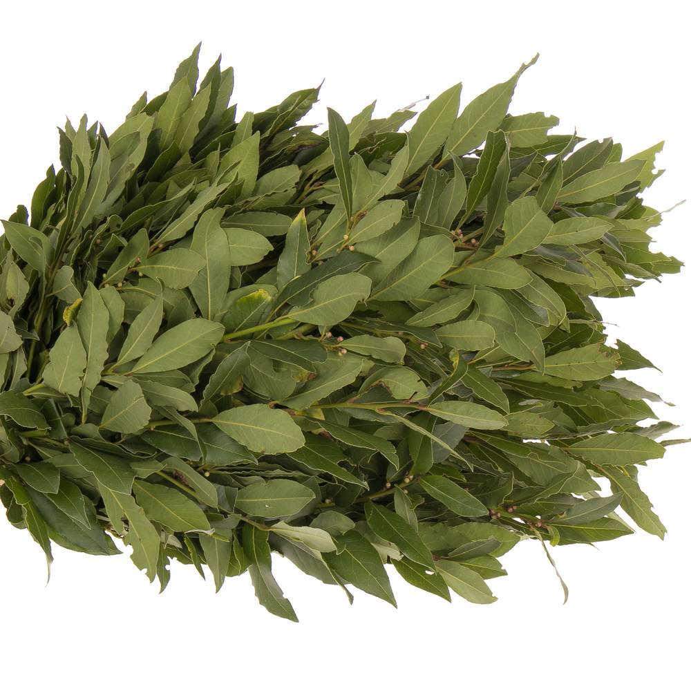 Lorbeer Kraut Laurus Nobilis 250gram