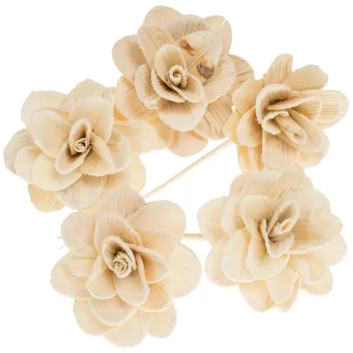 Trocken Beetal Rose auf Stab natur 50cm 6cm