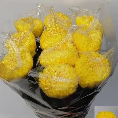 Chrys.Deko gelb Rivalry 125Gramm 80cm