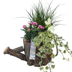 Garten.Arr PTPP7051 T30 H036