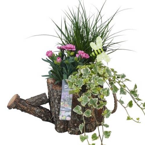 Garten.Arr PTPP7051 T30 H036