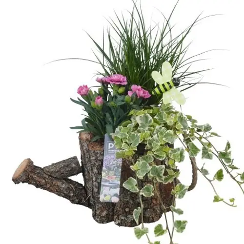 Garten.Arr PTPP7051 T30 H036