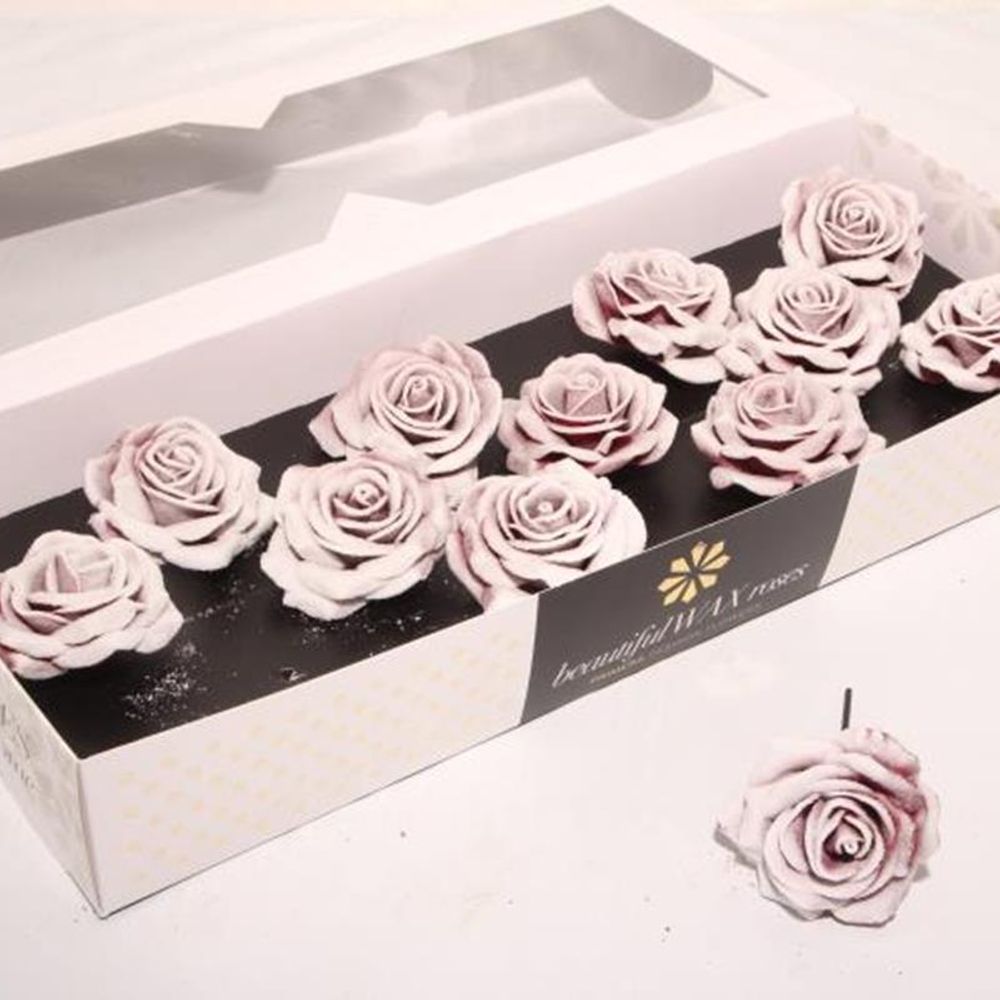 Seiden Wachs Rose b.rot/weiss d10cm (230) Blush