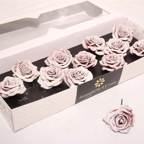 Seiden Wachs Rose b.rot/weiss d10cm (230) Blush