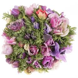Anemone lila Pastello Cenere Italien Ex 40cm