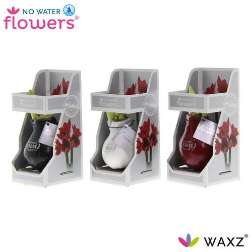 Amar.Bol Wachs im Giftbox mix Xmas rote Bl. 32cm H020