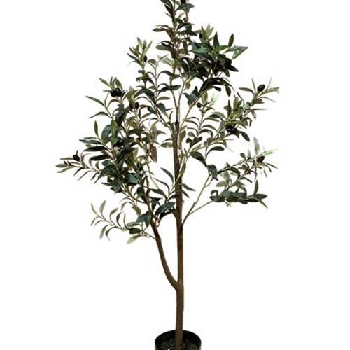 Seiden Oliv grün H120cm