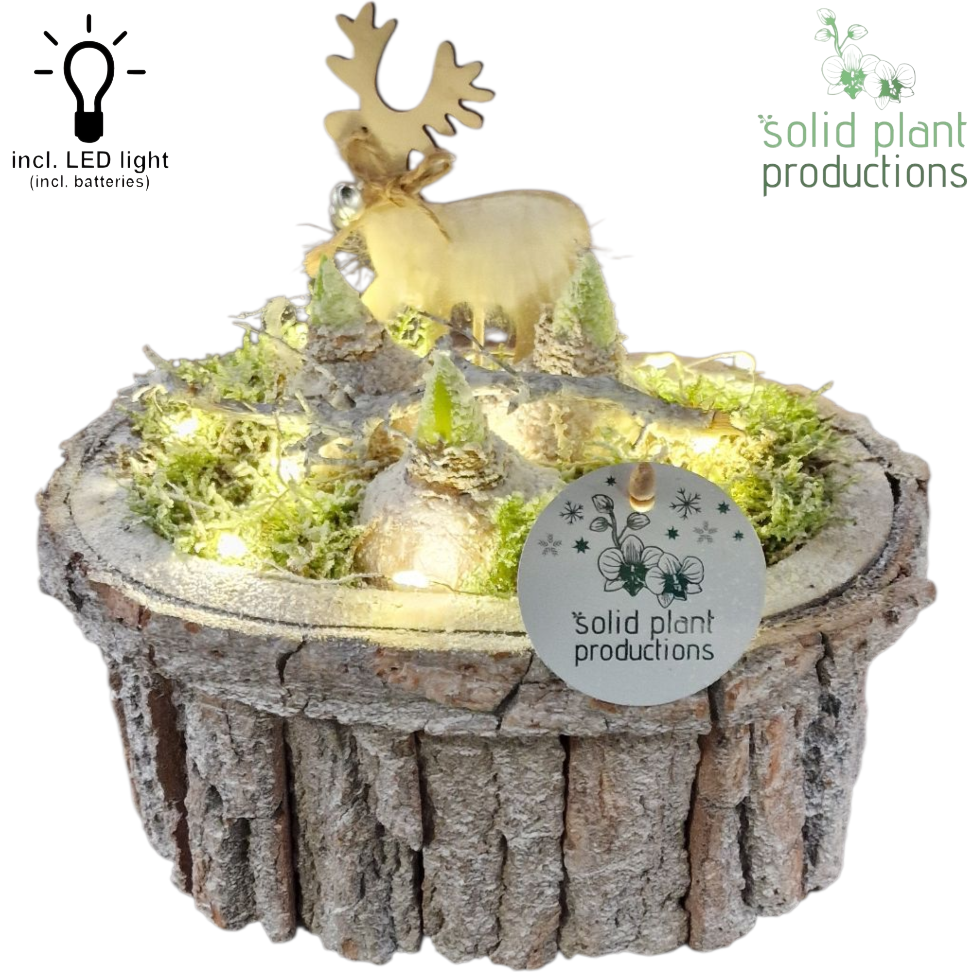 Hyac.Arr BOSH001LED Weihnachten +LED T22 H021