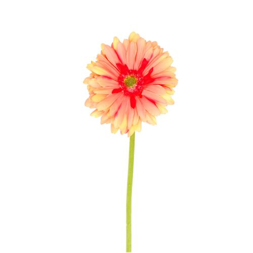 Seiden Gerbera Daisy lachs L53cm