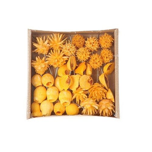 Trocken Exotic mix auf Draht gelb x35
