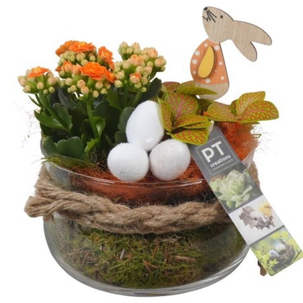Kal.Arr PTPG9302 Ostern T16 H020