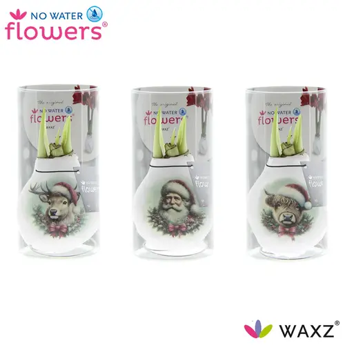 Amar.Bol Wachs Santa Friend im Hülse rote Bl. 32cm H015