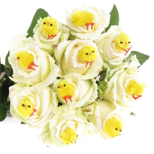 Rose Ostern Chicken 70cm