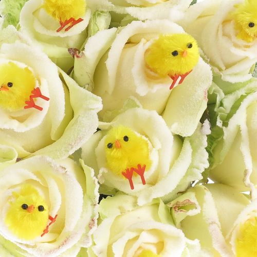 Rose Ostern Chicken 70cm