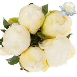 Pfingstrose creme Bridal Show.60cm Molenaar