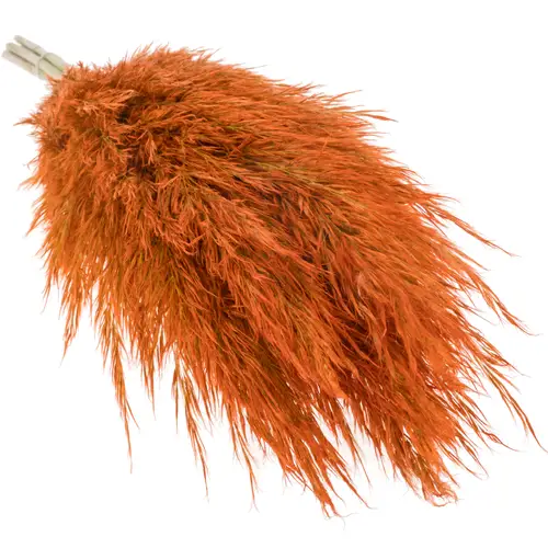Pampas Frisch orange/lachs gefärbt 90cm