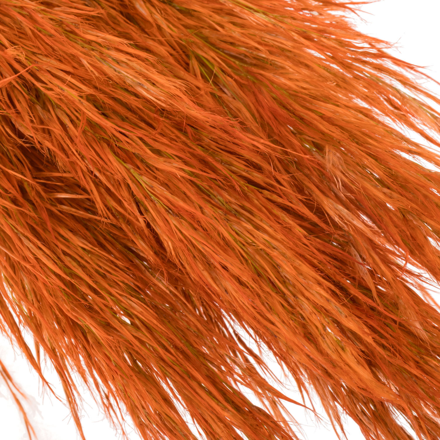 Pampas Frisch orange/lachs gefärbt 90cm