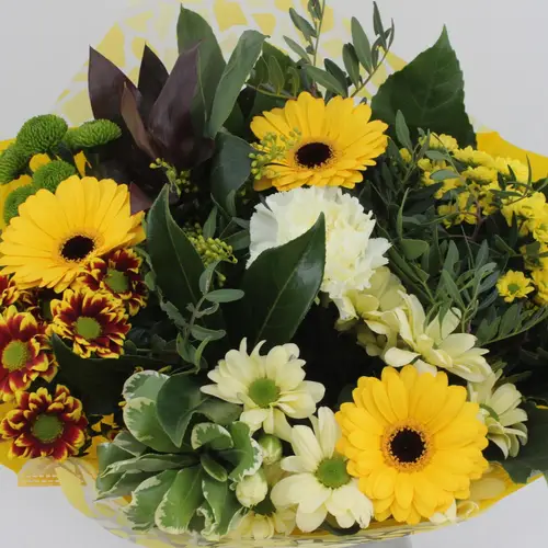 Strauß gelb Germini Muttertag 50cm 18Stiel