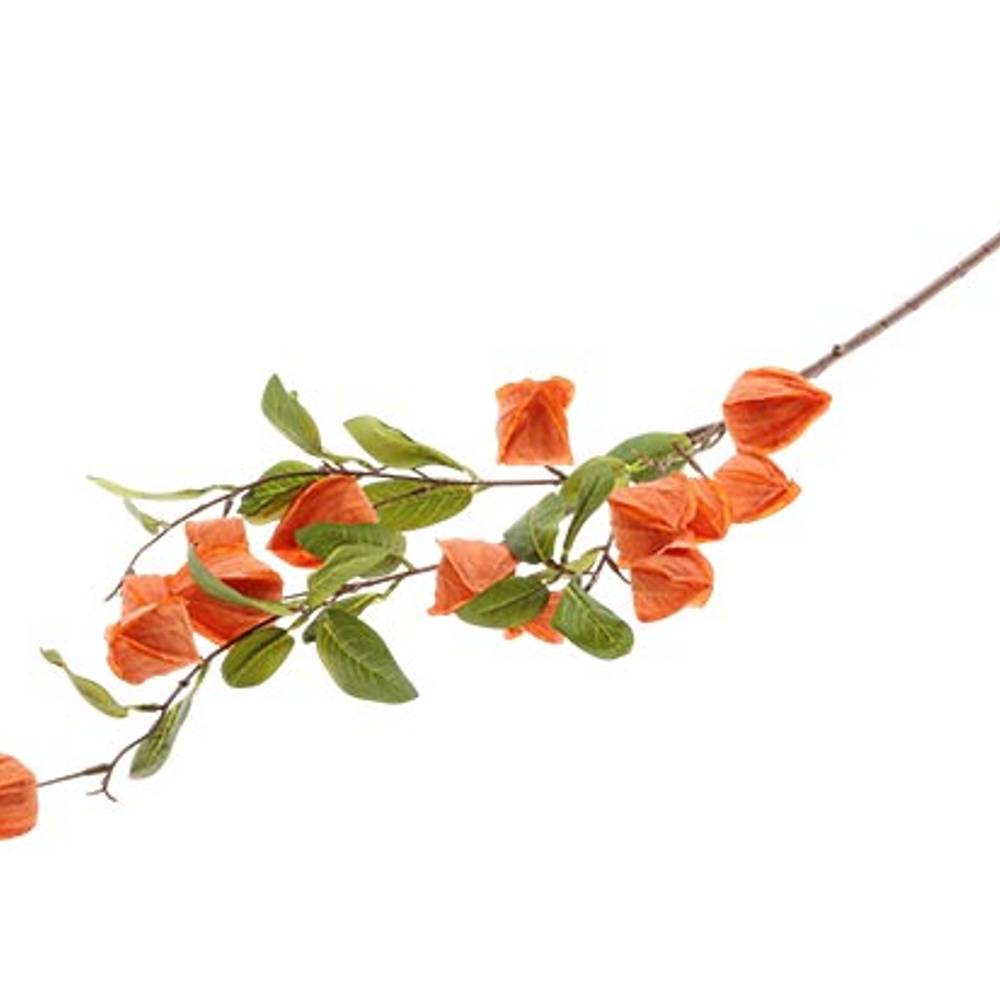 Seiden Physalis orange L94cm