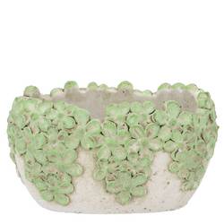 Beton Schale Dante Bloom grün 20x12x11cm