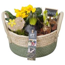 Garten.Arr PTBM3825 T21 H021