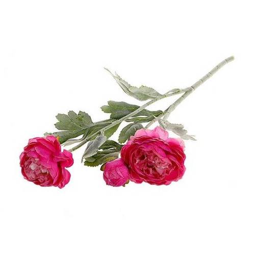 Seiden Ranunkel dunkel rosa L50cm 
