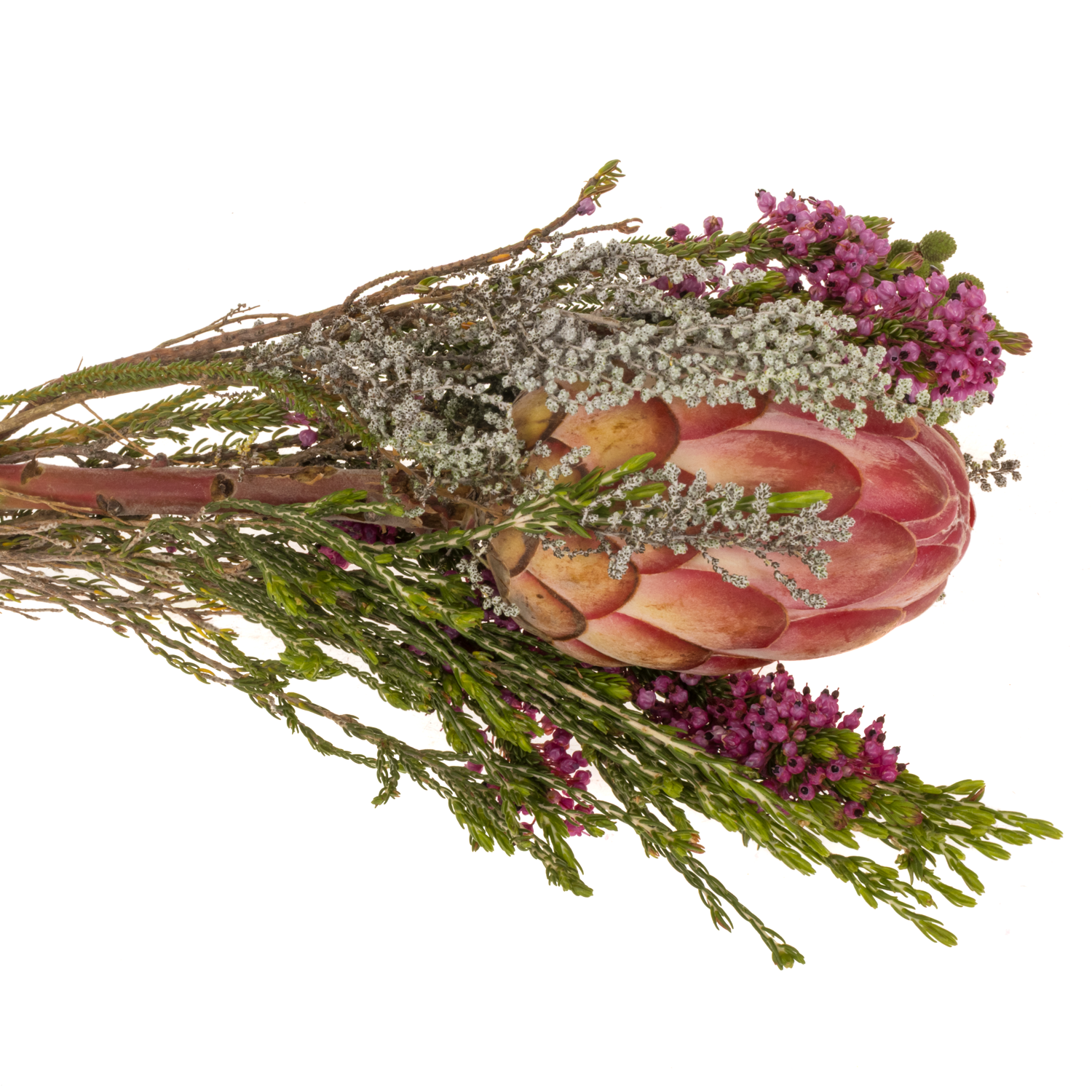 Bouquet mix 1 Protea Included 40cm