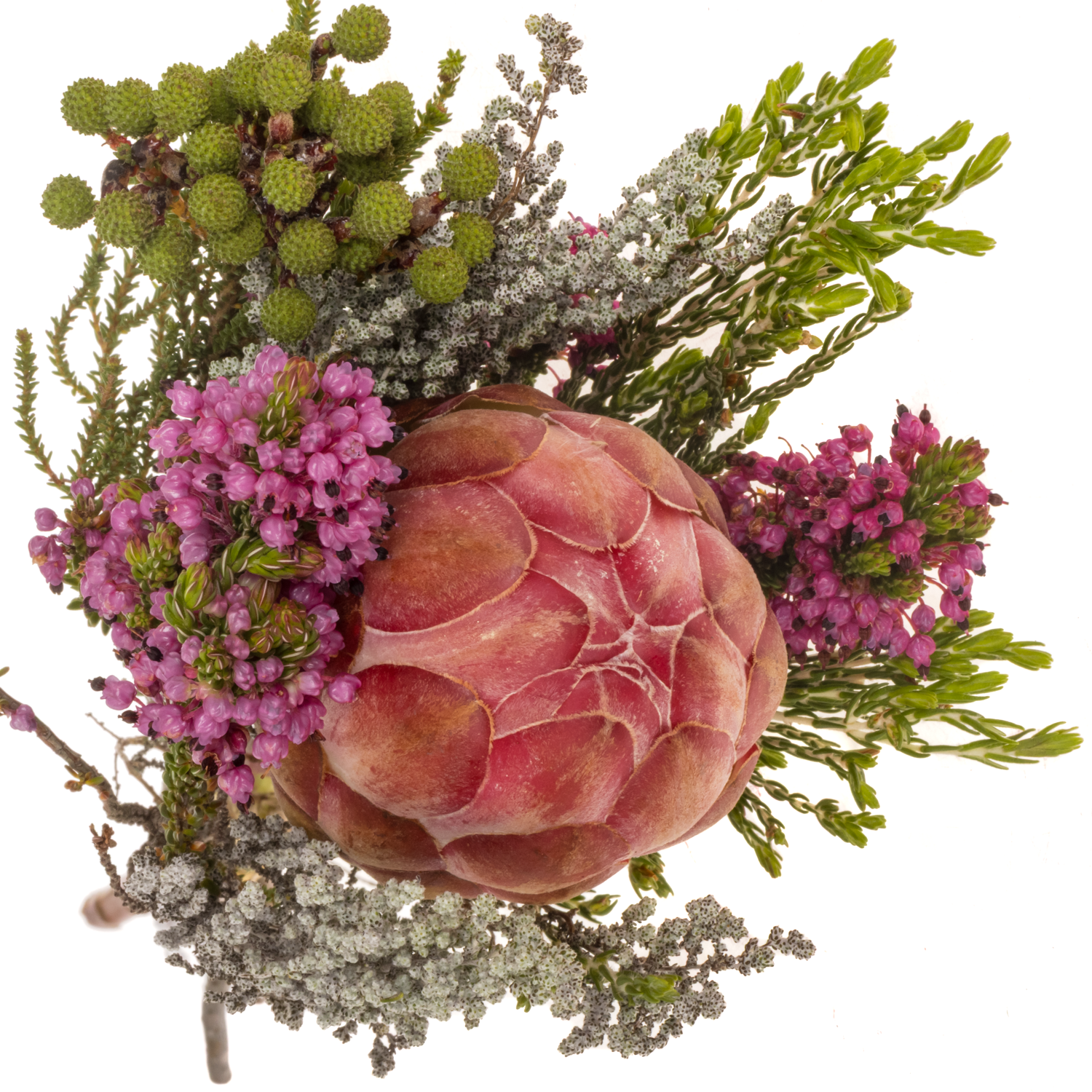 Bouquet mix 1 Protea Included 40cm