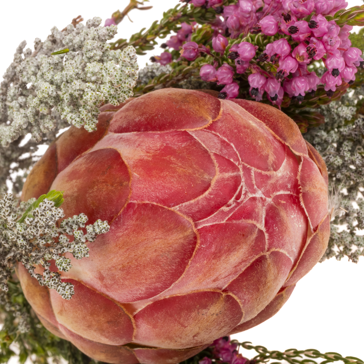 Bouquet mix 1 Protea Included 40cm