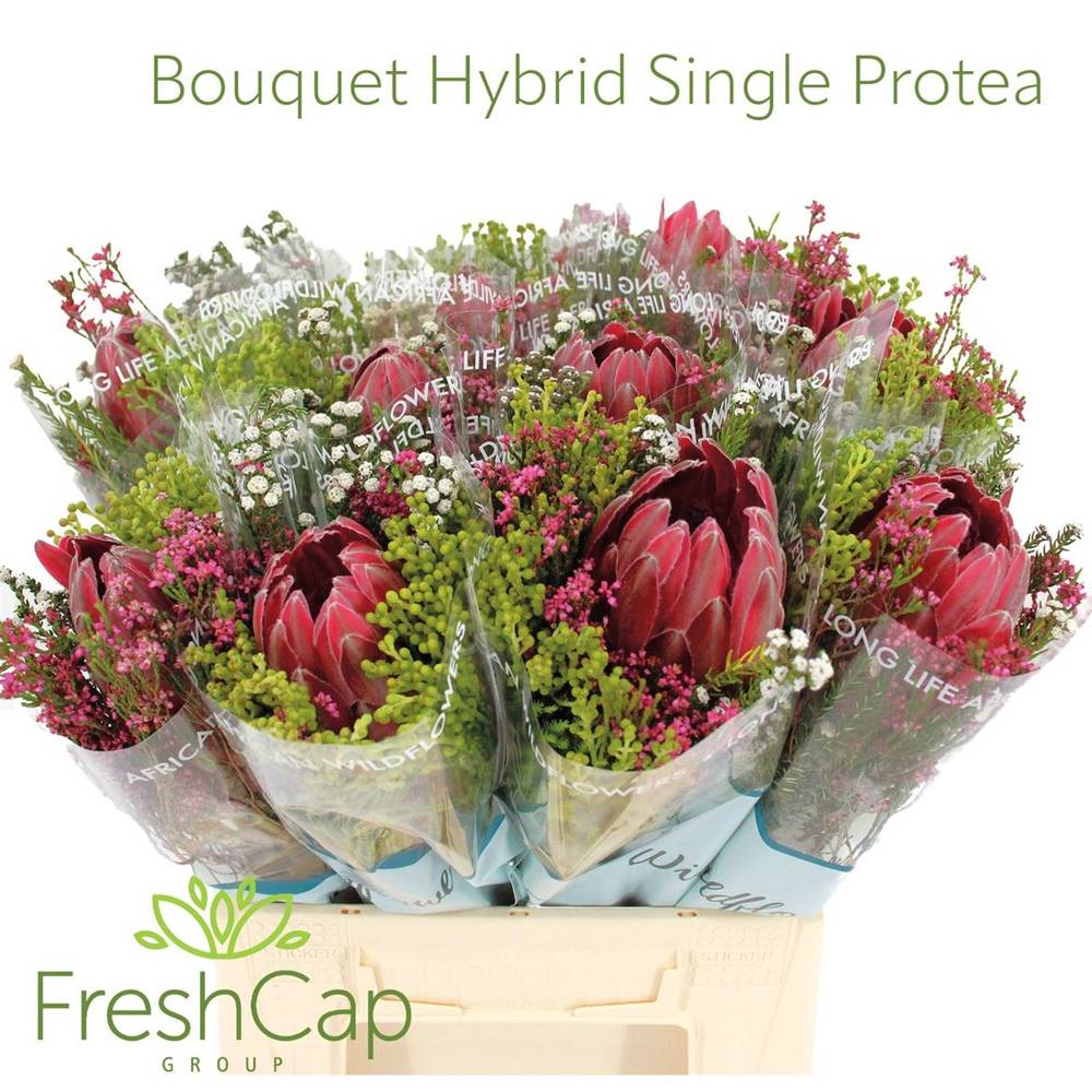 Bouquet mix 1 Protea Included 40cm