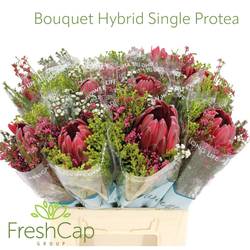 Bouquet mix 1 Protea Included 40cm