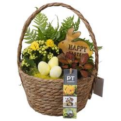Kal.Arr PTPB6547 Ostern T18 H027