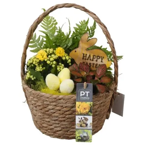 Kal.Arr PTPB6547 Ostern T18 H027