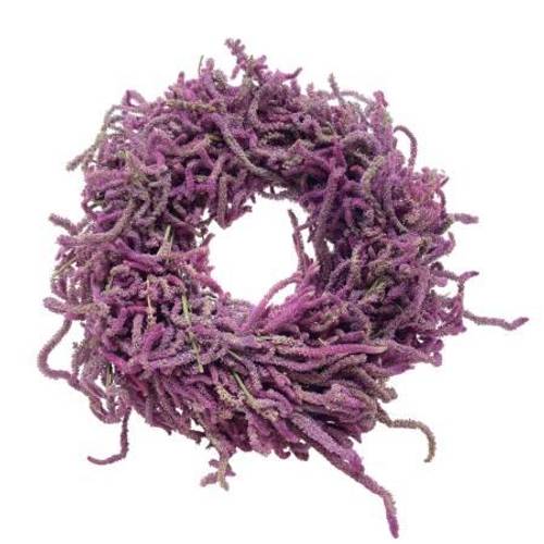 Kranz rosa Snake Limonium