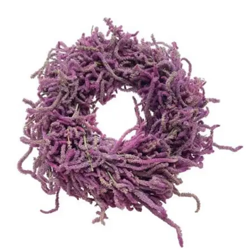 Kranz rosa Snake Limonium