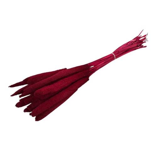 Trocken Babala dunkel rot L70cm x15