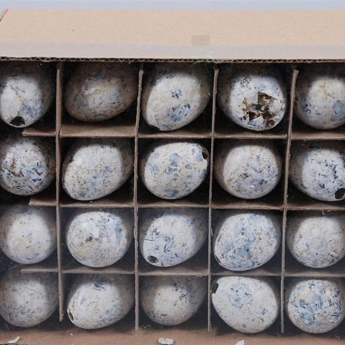 Wachtelei weiss 2.5x3.5cm 60st