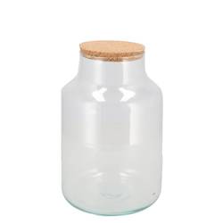 Glas Terrarium mit Kork 18x18x25cm