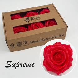 Seiden Wachs Rose Supreme dunkel rot