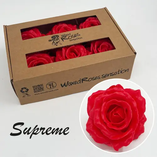Seiden Wachs Rose Supreme dunkel rot