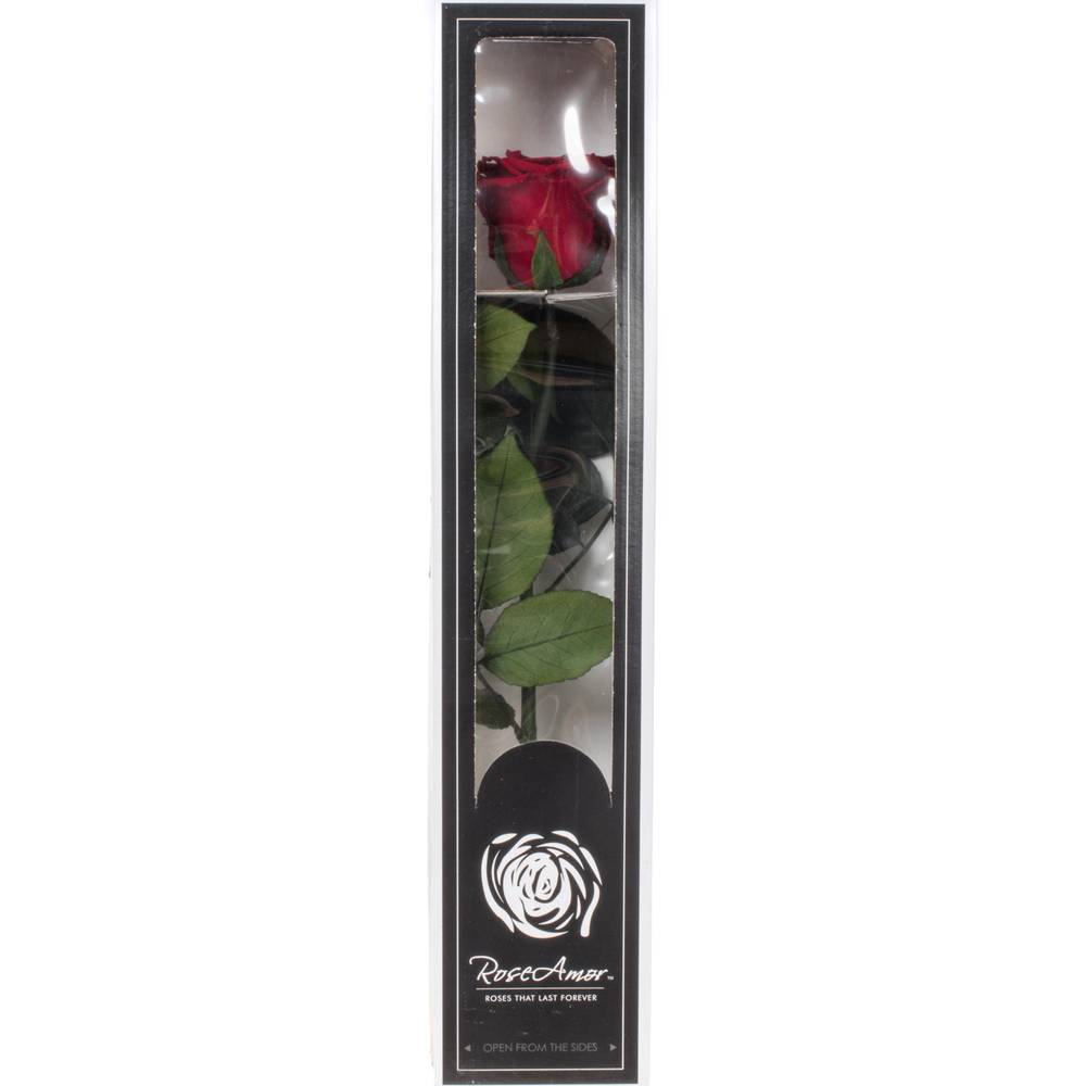 Präparierte Rose dunkel rot 20cm Red 01