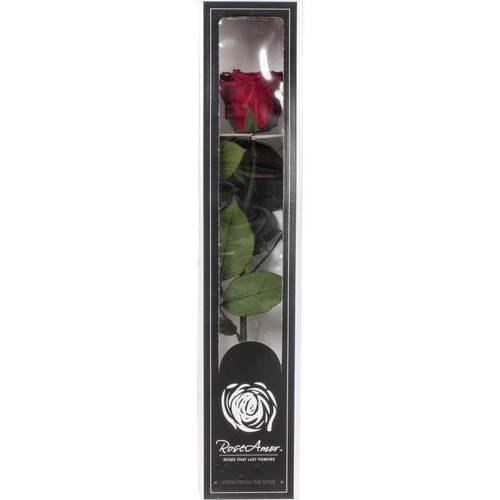 Präparierte Rose dunkel rot 20cm Red 01