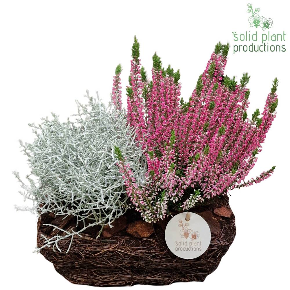 Garten.Arr SRS004 R Small Herbst T24 H035
